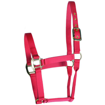 Hilason Western Horse Premium Nylon Rolled Throat Strap Halter